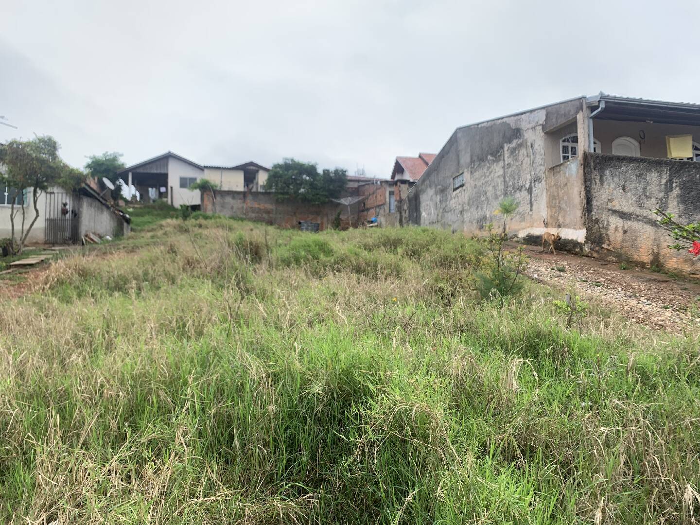 Terreno à venda, 180m² - Foto 2